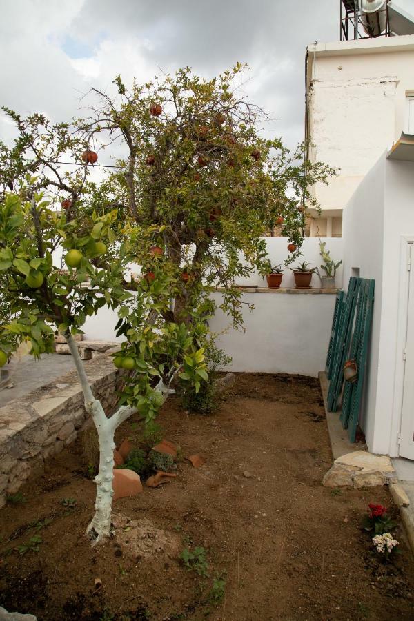 Iliopetra House Casa vacanze